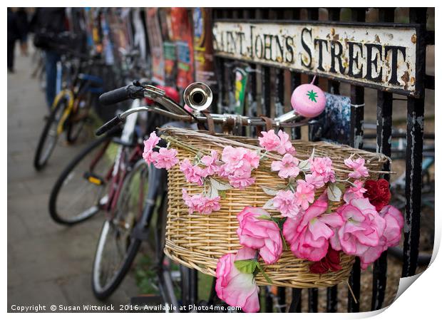 Pink Bicycle, Cambridge Print by Susan Witterick