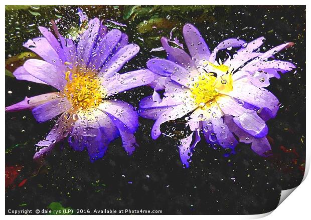 wet n wild flora   Print by dale rys (LP)