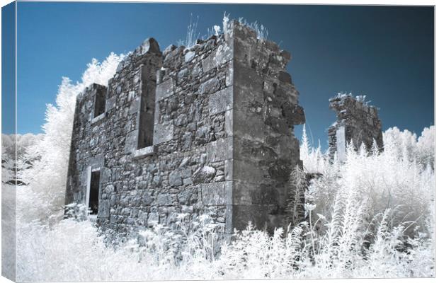 Pretty derelict infrared image Canvas Print by Sonia Packer