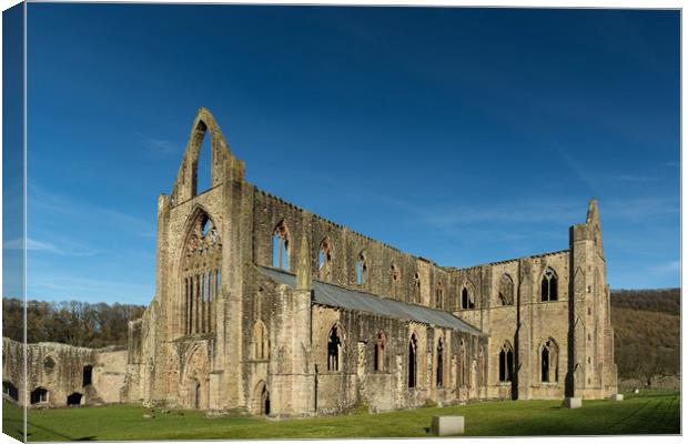 Tintern Abbey Canvas Print by Andrew Richards