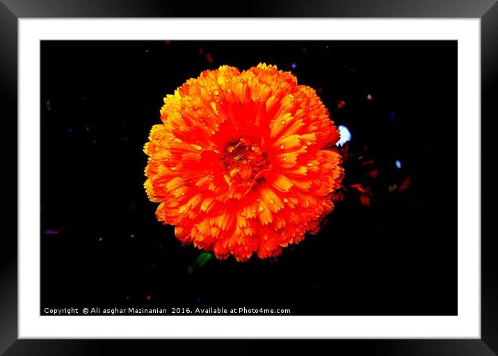 Glittering, Framed Mounted Print by Ali asghar Mazinanian