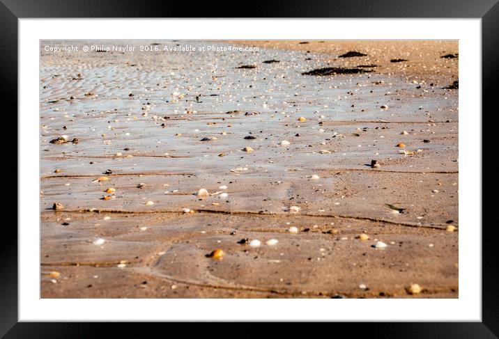 She Sells Sea Shells.............. Framed Mounted Print by Naylor's Photography
