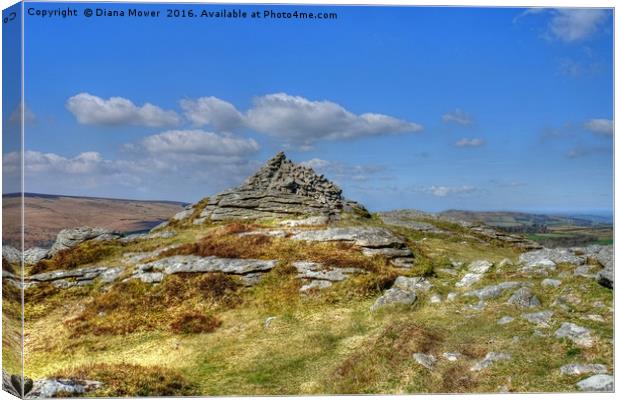 Chinkwell Tor Canvas Print by Diana Mower