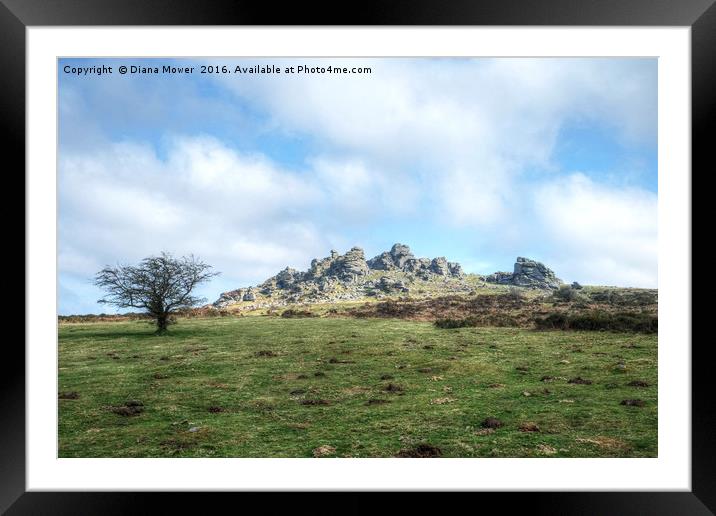Hound Tor Dartmoor Framed Mounted Print by Diana Mower