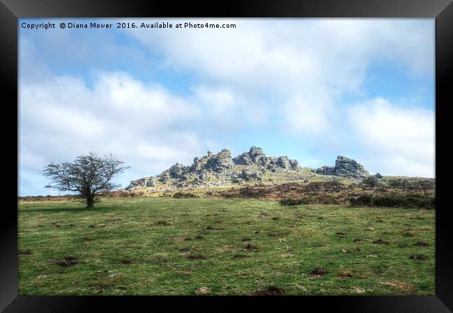 Hound Tor Dartmoor Framed Print by Diana Mower