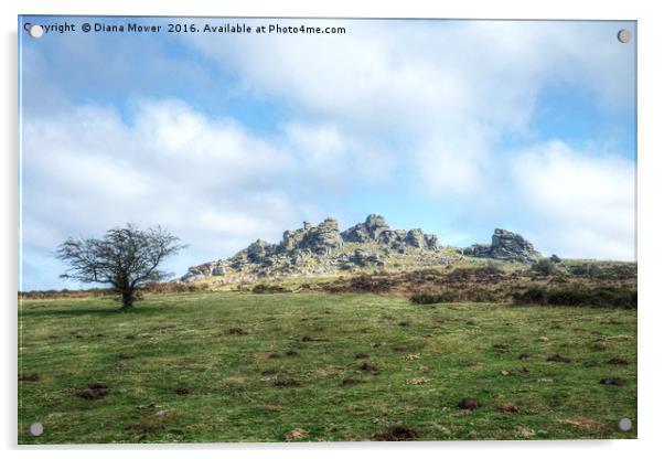 Hound Tor Dartmoor Acrylic by Diana Mower