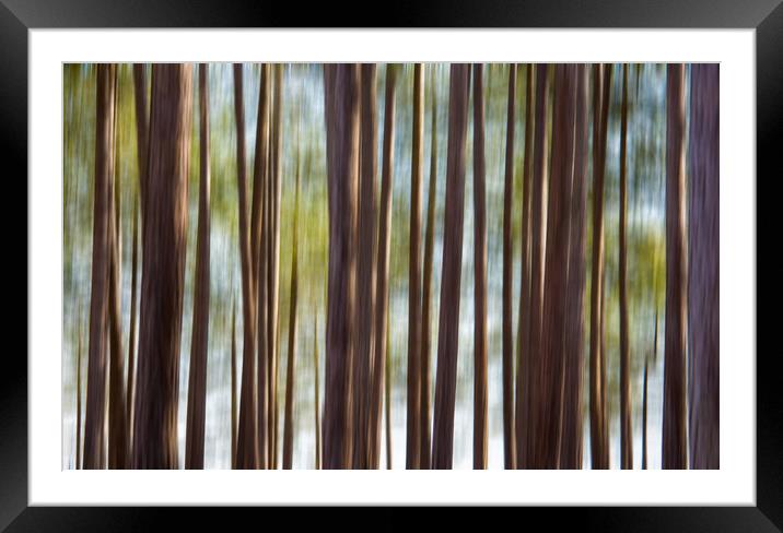 Blurred Trees Framed Mounted Print by Mark Godden