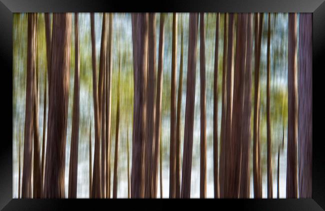 Blurred Trees Framed Print by Mark Godden