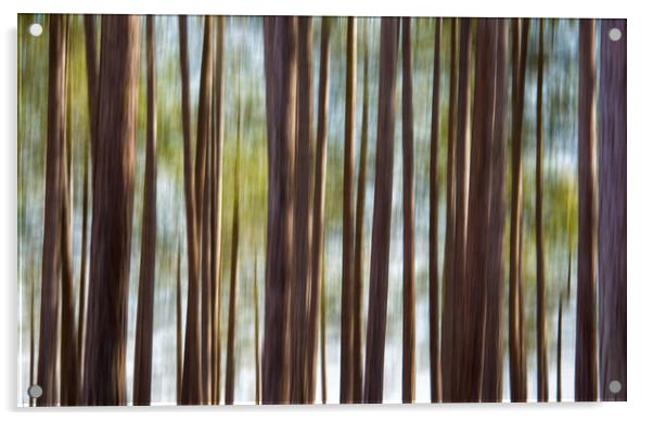Blurred Trees Acrylic by Mark Godden