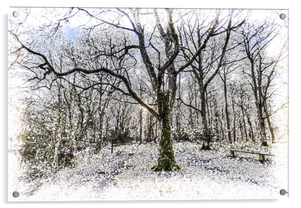 English Forest Snow Art Acrylic by David Pyatt
