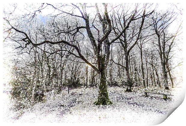 English Forest Snow Art Print by David Pyatt