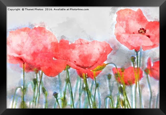 Poppy's in water colour Framed Print by Thanet Photos