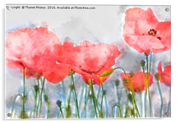 Poppy's in water colour Acrylic by Thanet Photos