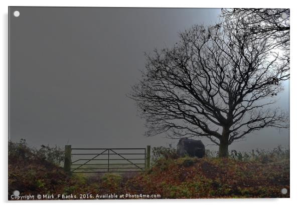 Farm Yard Gate in the Mist Acrylic by Mark  F Banks
