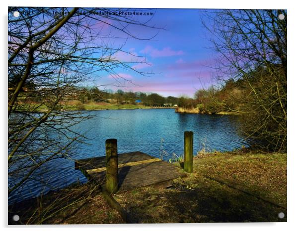 Lakeside view Acrylic by Derrick Fox Lomax