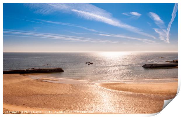 Sunshine at Cullercoats Bay  Print by Naylor's Photography