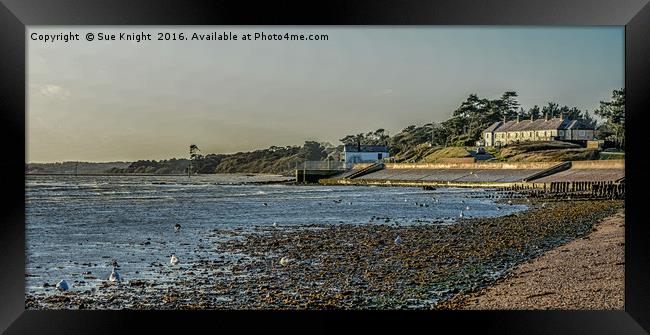Tide out at Lepe,Hampshire Framed Print by Sue Knight