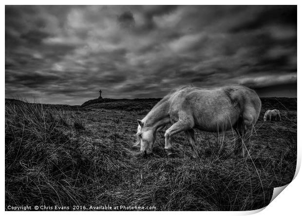 Llanddwyn Island Wild Horses  Print by Chris Evans