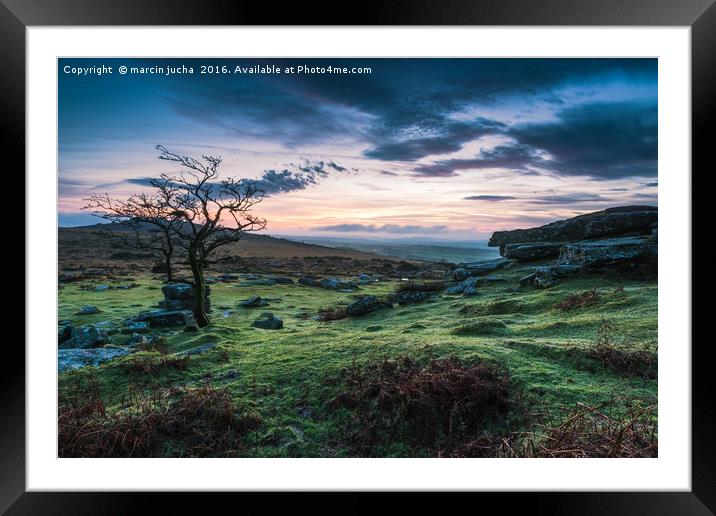 Lonely tree at sunset in Dartmoor Park, UK Framed Mounted Print by marcin jucha