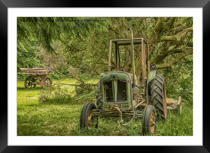 Abandoned Tractor amongst woodland Framed Mounted Print by Sue Knight