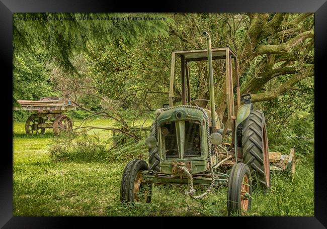 Abandoned Tractor amongst woodland Framed Print by Sue Knight
