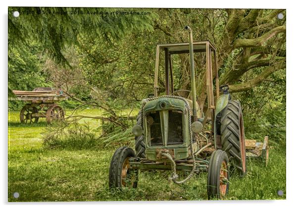 Abandoned Tractor amongst woodland Acrylic by Sue Knight
