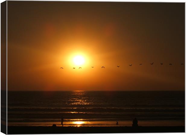 Birds across sunset Canvas Print by rachael purdy