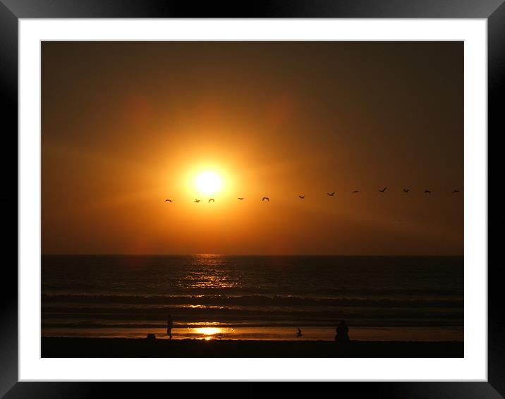 Birds across sunset Framed Mounted Print by rachael purdy