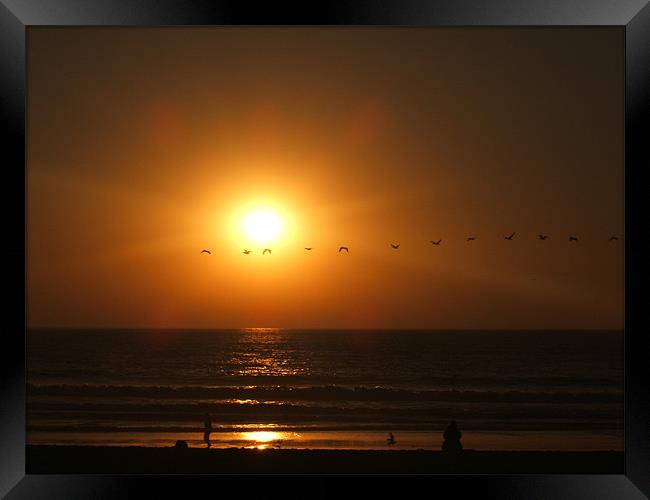 Birds across sunset Framed Print by rachael purdy