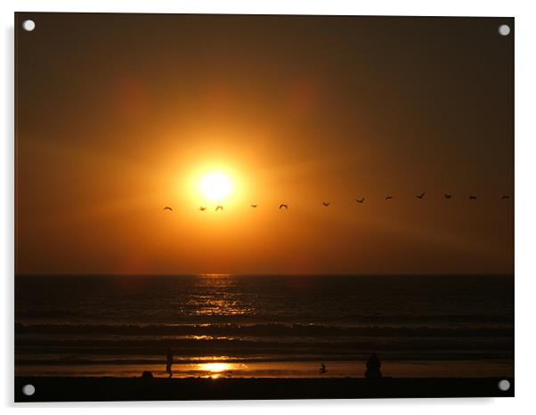 Birds across sunset Acrylic by rachael purdy