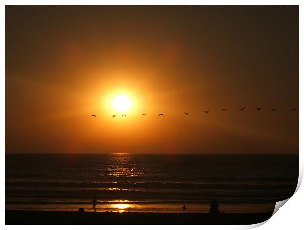 Birds across sunset Print by rachael purdy