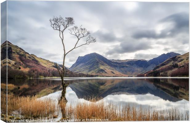 The Tree at Buttermere Canvas Print by John Cummings