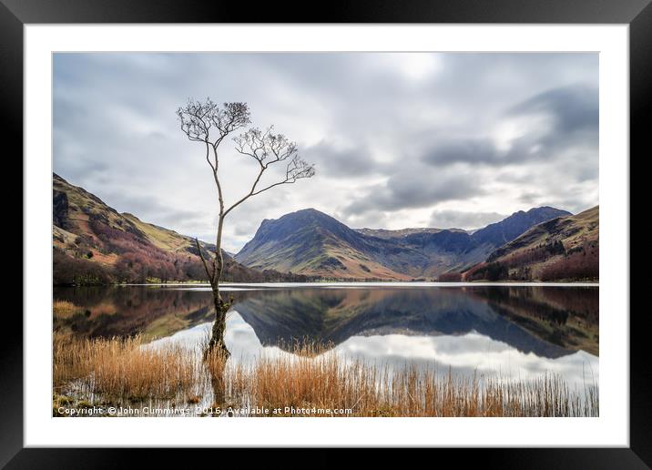 The Tree at Buttermere Framed Mounted Print by John Cummings