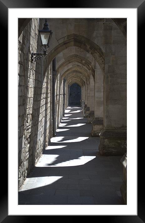 Winchester Cathedral Cloisters of the Inner close Framed Mounted Print by Chris Day