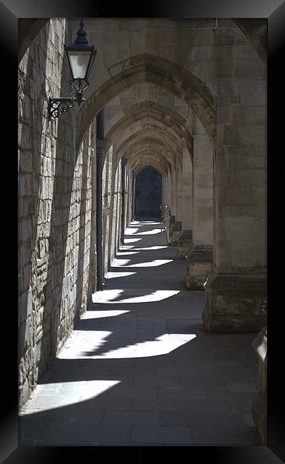 Winchester Cathedral Cloisters of the Inner close Framed Print by Chris Day