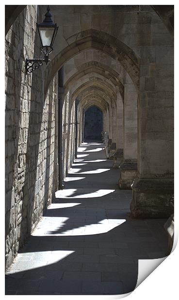 Winchester Cathedral Cloisters of the Inner close Print by Chris Day