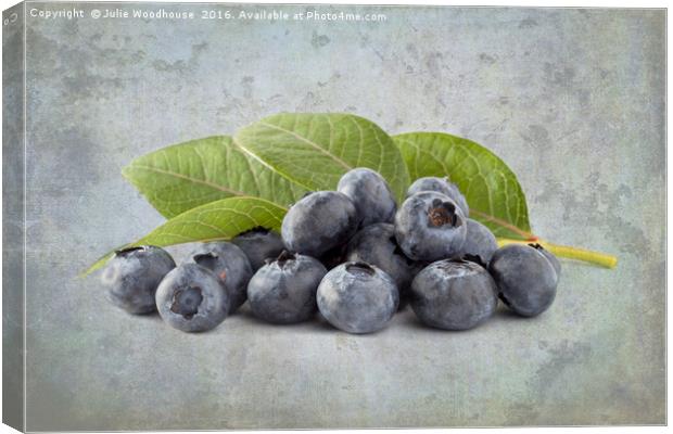 Blueberries Canvas Print by Julie Woodhouse