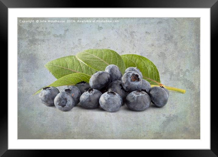 Blueberries Framed Mounted Print by Julie Woodhouse