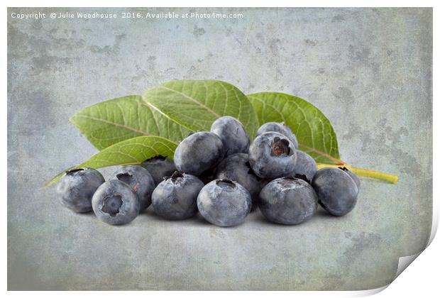 Blueberries Print by Julie Woodhouse