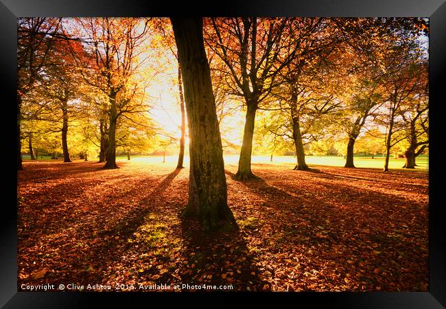 Autumn Glory Framed Print by Clive Ashton
