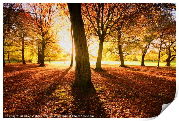 Autumn Glory Print by Clive Ashton
