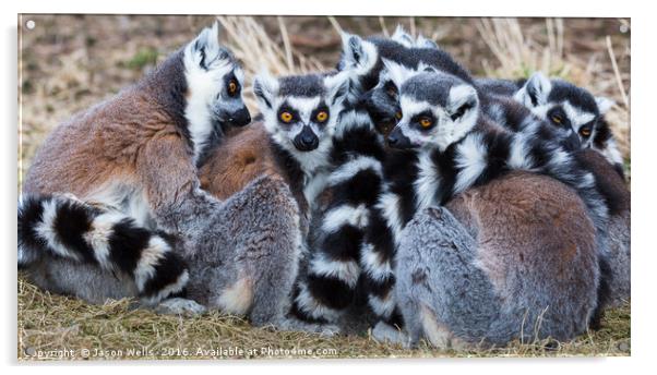 Group of ring-tailed lemurs snoozing in the sun. Acrylic by Jason Wells