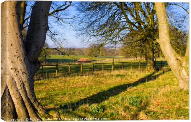 East Yorkshire Country Estate Parkland Canvas Print by Richard Pinder