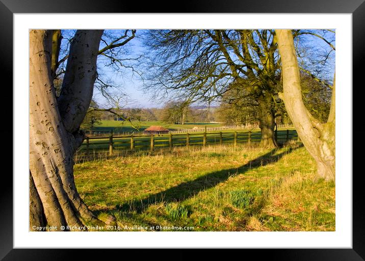 East Yorkshire Country Estate Parkland Framed Mounted Print by Richard Pinder