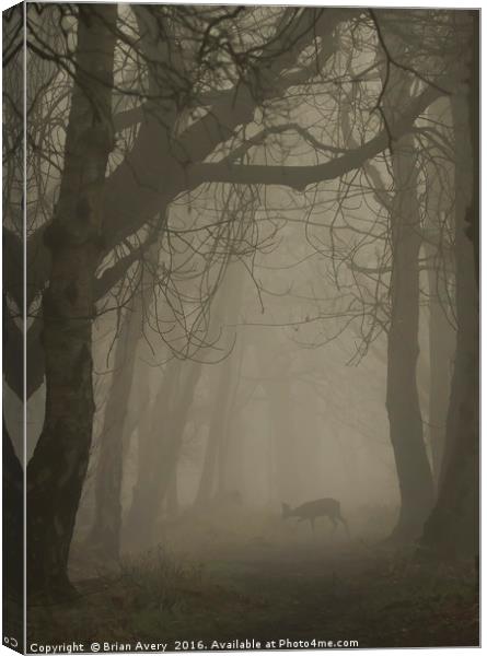 Deer in the Mist Canvas Print by Brian Avery