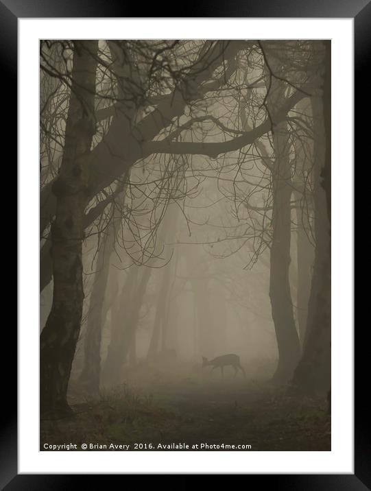 Deer in the Mist Framed Mounted Print by Brian Avery