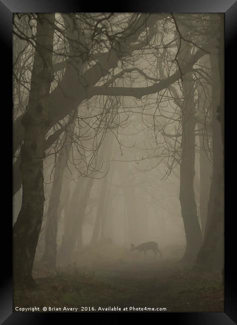 Deer in the Mist Framed Print by Brian Avery