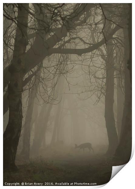 Deer in the Mist Print by Brian Avery