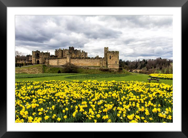 Alnwick Castle Framed Mounted Print by Northeast Images