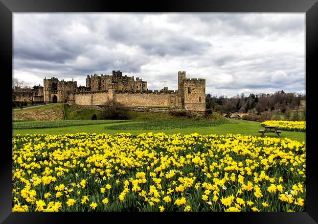 Alnwick Castle Framed Print by Northeast Images